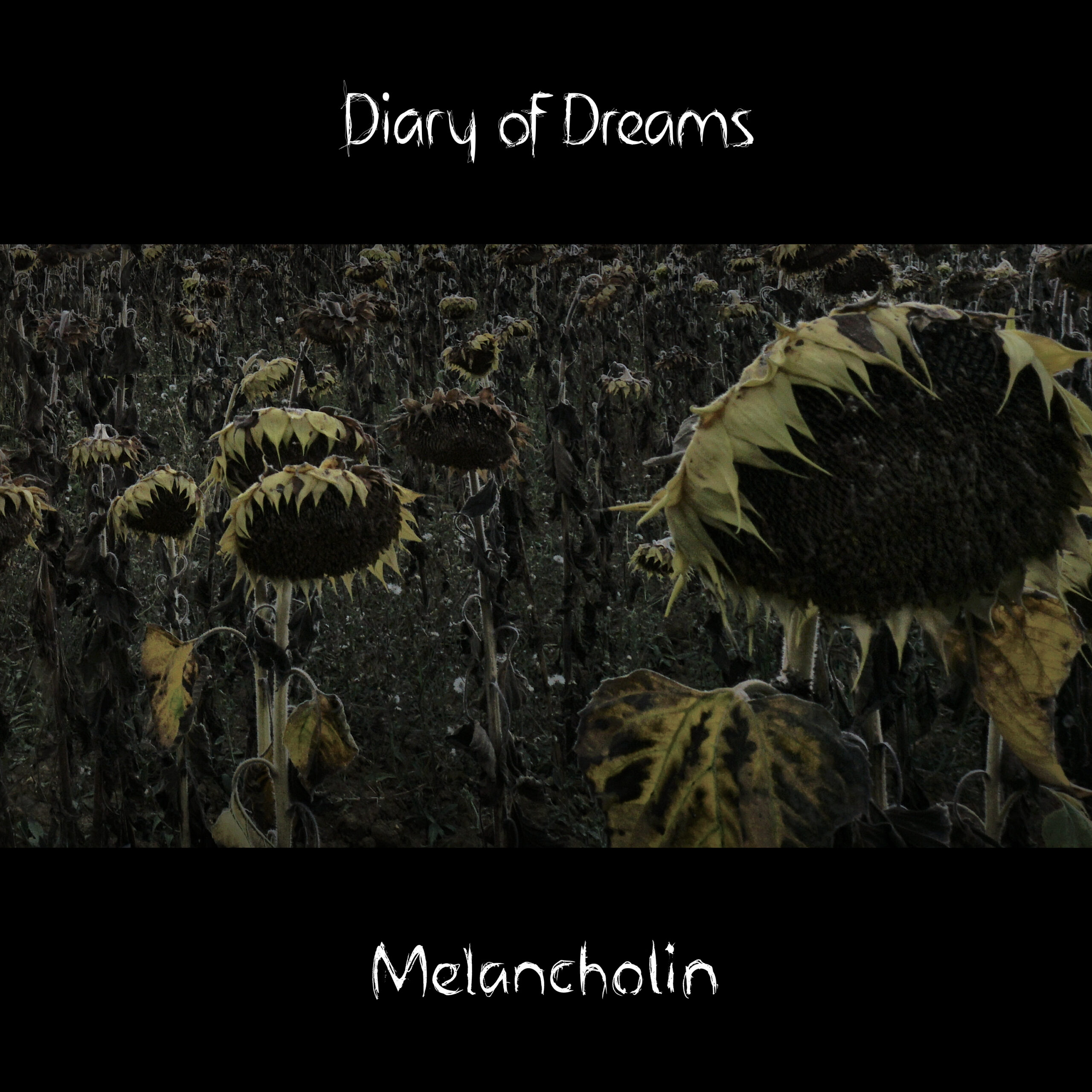 Cover des Albums Melancholin von Diary of Dreams.