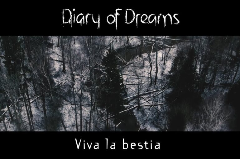 Teaserbild zur Single Viva la bestia von Dairy of Dreams, das eine Luftaufnahme eines winterlichen Waldes zeigt.